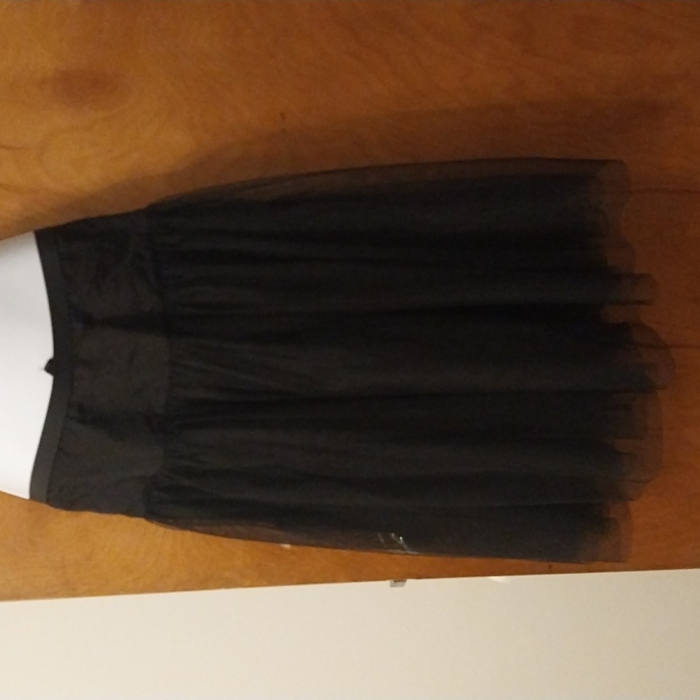Banana republic Tulle skirt